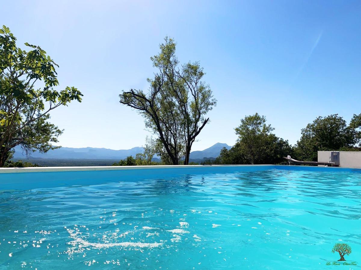 La Finca Olivetree Katuni ภายนอก รูปภาพ